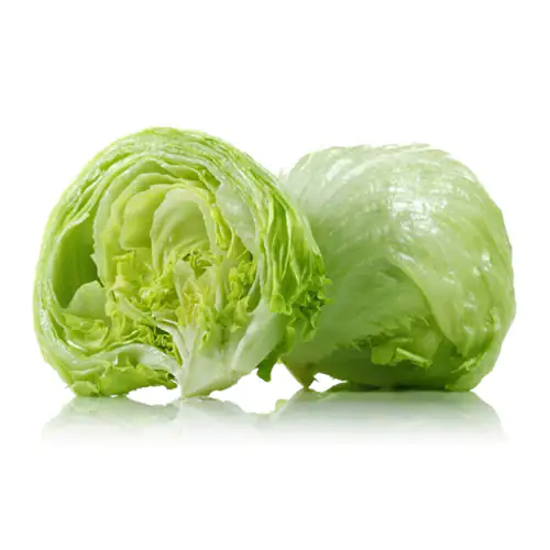 Lettuce Iceberg 500g to 700g Jordan